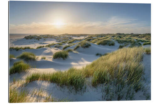 Gallery Print Am Dünenstrand bei Sonnenuntergang