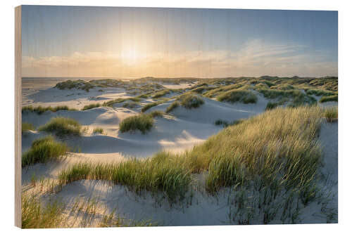 Puutaulu On the dune beach at sunset