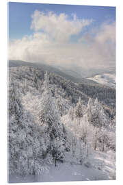 Acrylglasbild Winter im Schwarzwald