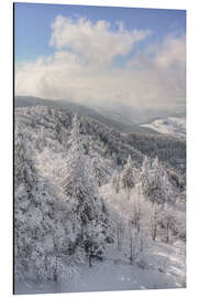 Tableau en aluminium Winter in the Black Forest