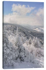 Canvas print Winter in the Black Forest