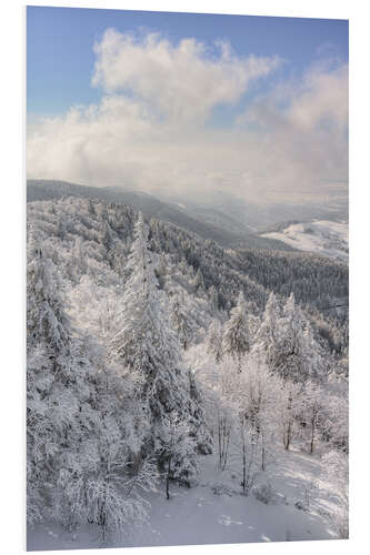 Print på skumplade Winter in the Black Forest