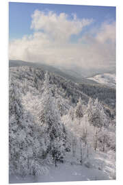 Foam board print Winter in the Black Forest