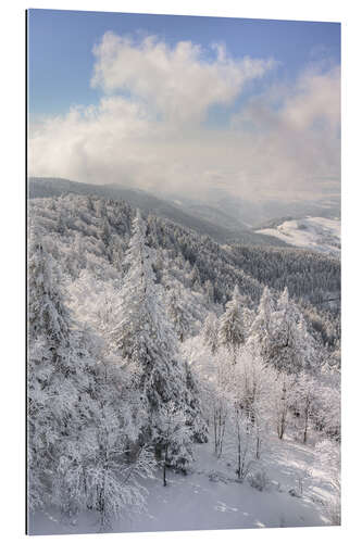 Quadro em plexi-alumínio Winter in the Black Forest