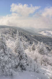 Magnettafel Winter im Schwarzwald