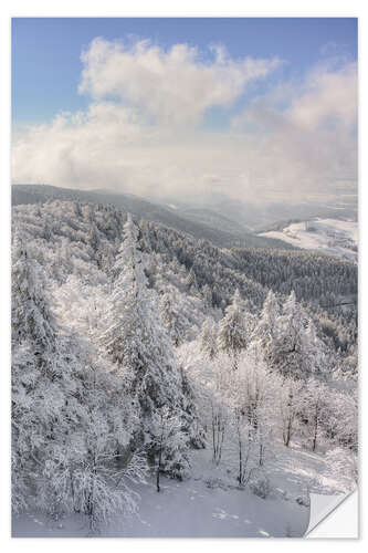 Adesivo murale Winter in the Black Forest