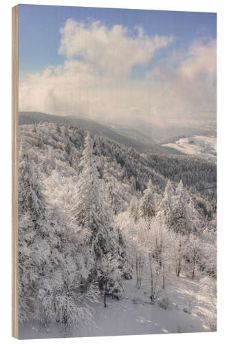 Wood print Winter in the Black Forest