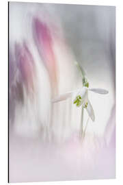Magnettafel Genießen Sie das Licht