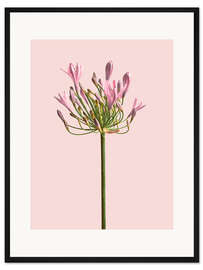 Gerahmter Kunstdruck Einsame Blume