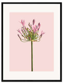 Gerahmter Kunstdruck Einsame Blume