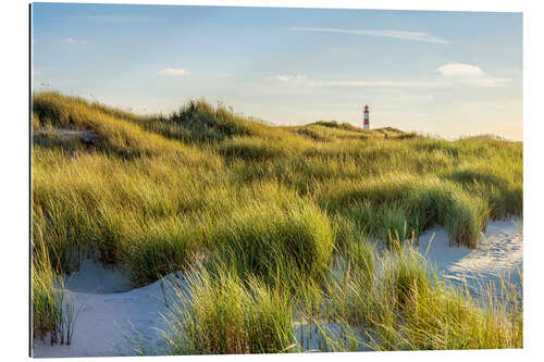 Tableau en plexi-alu Dune landscape with lighthouse