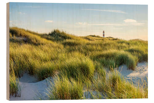 Obraz na drewnie Dune landscape with lighthouse