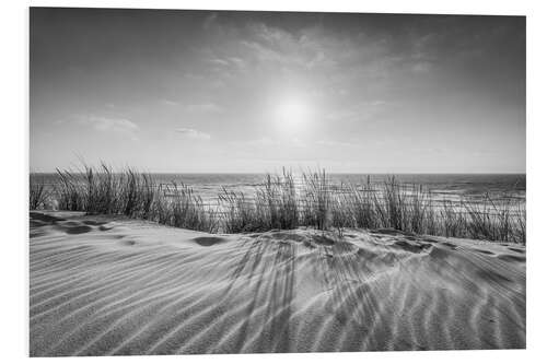 Foam board print Dunes in the sunlight