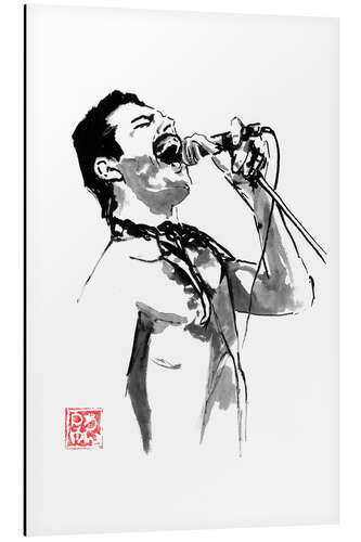 Aluminium print Freddie sings