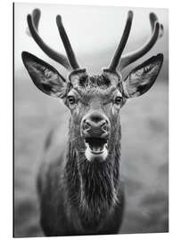 Magnettafel Flüstern der Wildnis