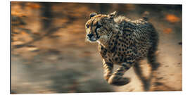 Aluminium print Cheetah's Chase