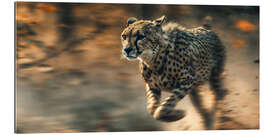 Quadro em plexi-alumínio Cheetah&#039;s Chase