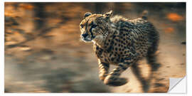 Selvklebende plakat Cheetah's Chase