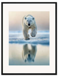 Gerahmter Kunstdruck Die Schönheit des Eisbären