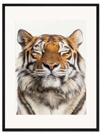 Gerahmter Kunstdruck Gelassener Tiger
