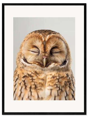 Impression artistique encadrée Owl's Dream