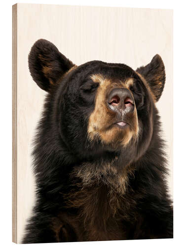 Hout print Black Bear Bliss