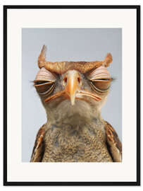 Gerahmter Kunstdruck Launischer Vogel