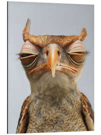 Magnettafel Launischer Vogel