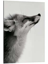 Magnettafel Fuchsschnurrhaare