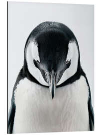 Magnettafel Eingenickter Pinguin