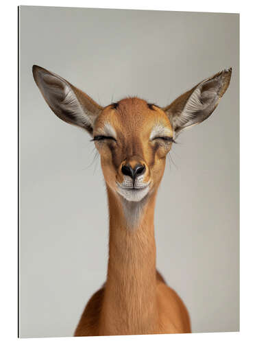 Gallery print Blissful Gerenuk