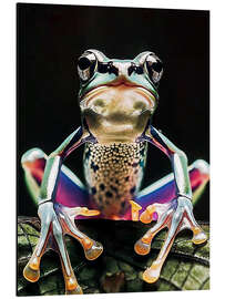 Magnettafel Mystischer Hüpfer