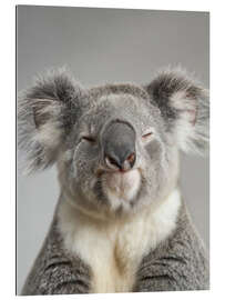 Gallery print Calm Koala