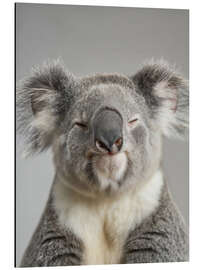 Magnettafel Entspannter Koala