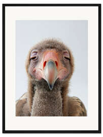 Gerahmter Kunstdruck Schläfriger Geier