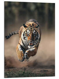 Gallery print Tiger&#039;s Charge