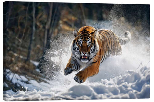 Leinwandbild Sibirischer Tiger im Schnee