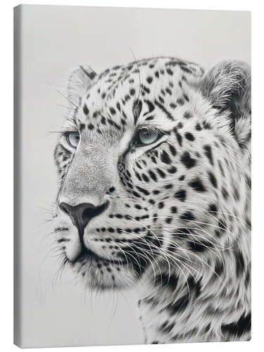 Canvas print Leopard's Gaze