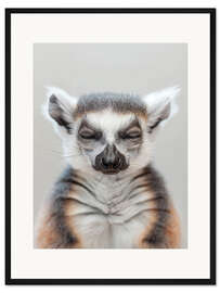 Gerahmter Kunstdruck Lemur-Zen