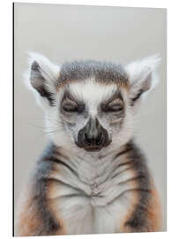 Magnettafel Lemur-Zen