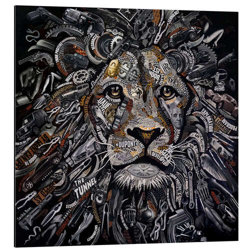 Aluminium print August, the Lion