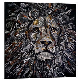 Quadro em plexi-alumínio August, the Lion