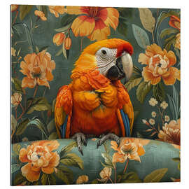 Tableau en plexi-alu Macaw parrot on sofa