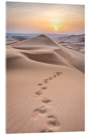 Quadro em acrílico Footprints in the desert