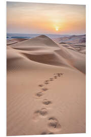 Foam board print Footprints in the desert