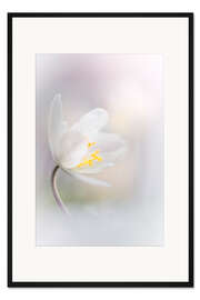 Gerahmter Kunstdruck Love at first sight