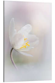 Magnettafel Love at first sight