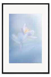 Gerahmter Kunstdruck Ein frischer Frühlingsmoment...