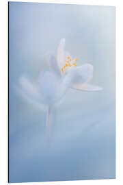 Magnettafel Ein frischer Frühlingsmoment...