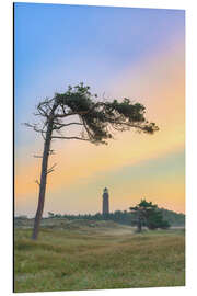 Aluminium print Wind refugees at the Darßer Ort lighthouse